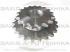 Зірочка подвійна 1 1/4" Z23 Z17 d80 - 121119