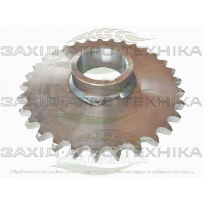 Зірочка Z=31 B=75 T=1