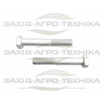 Болт з шестигранною головкою М16х100 - 901554