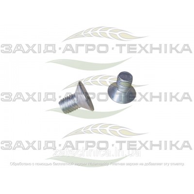 Болт INOX 12х20 - BA12X20TFI