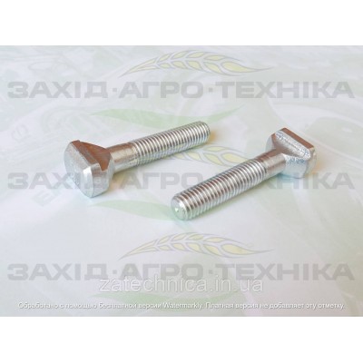Болт пазовий М12х65 - 900003440