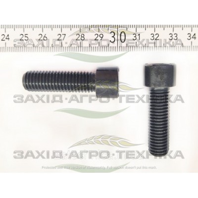 Болт з внутрішнім шестигранником М12*40 - 927562