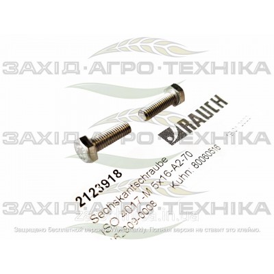 Болт M5x16 розкидача MDS - R2123918