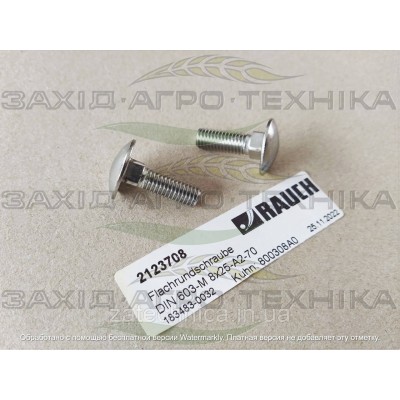Болт DIN 603-M 8x25-A2-70 - R2123708