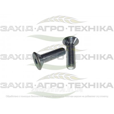 Гвинт М10х40 з пот. гол. оцинк. - 900438