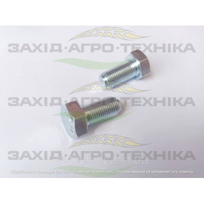 Болт 1/2х2 UNC GR5 Schulte - SC 250-0571