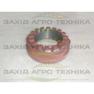 Гайка М85х2 - 901827