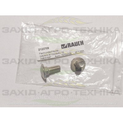 Болт DIN 603-M 10x25-A2-70 - R2123709