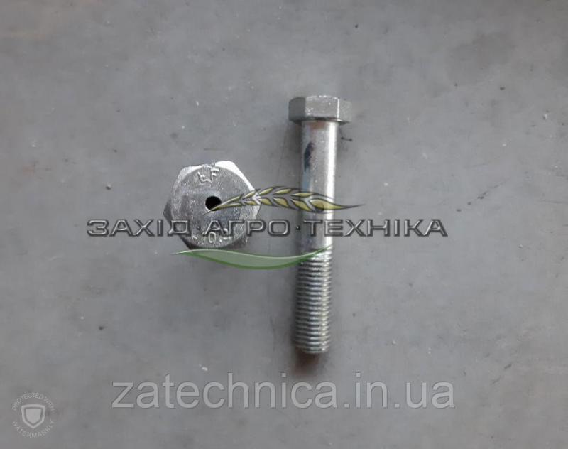 Болт спеціальний М20х120-10,9 - BC-875