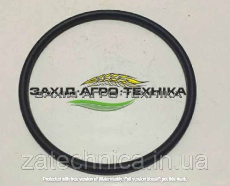 Кільце діам.86мм - G001057